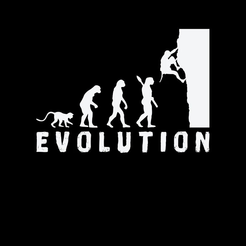 Escalade Bouldern Evolution