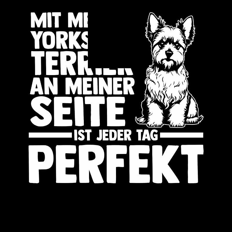 Hund Yorkshire Terrier