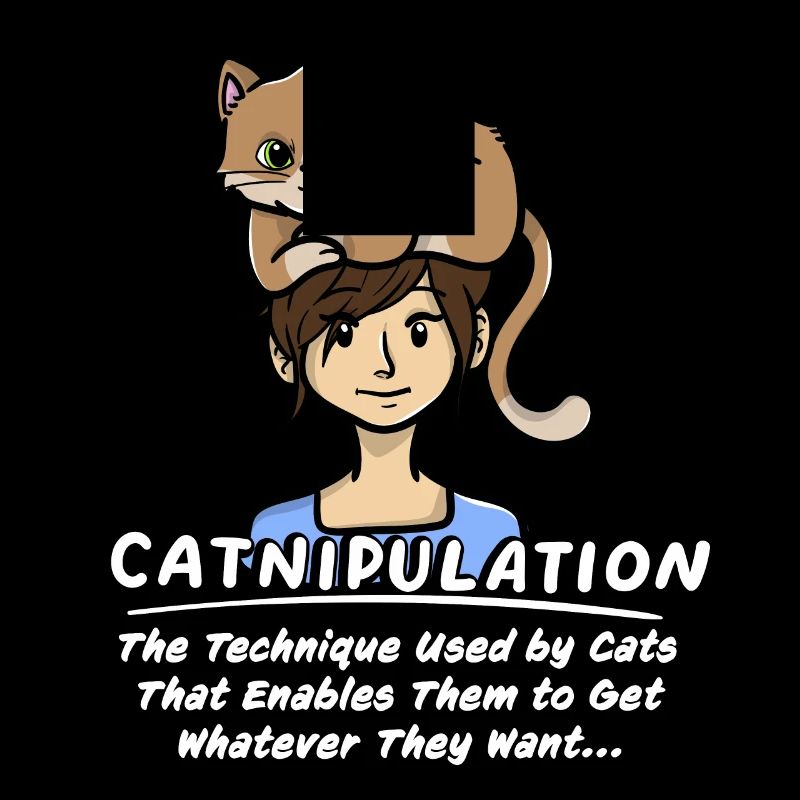 Technique De Catnipulation De Chaton Amant Chat Mignon