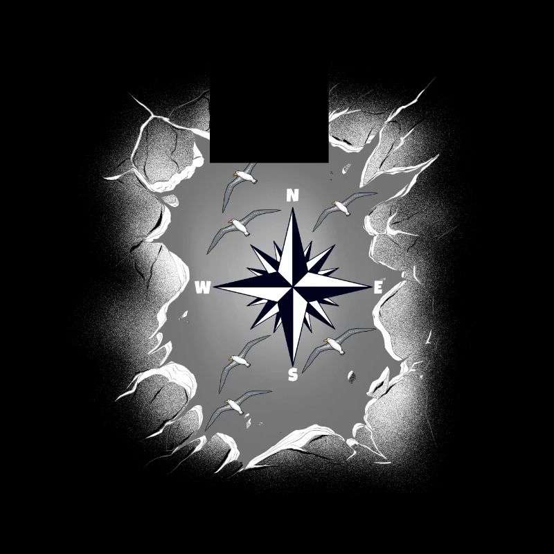 Möwen Möwe Kompass maritim