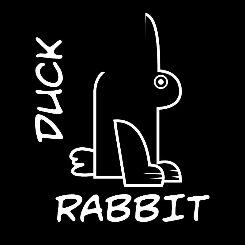 Rabbit Duck Meme Science Math Geek Philosophy