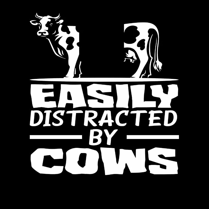 Easily distracted by cows