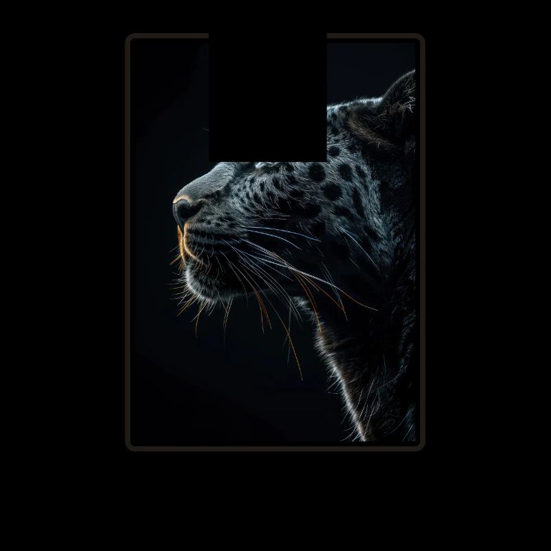 Panthers Panther