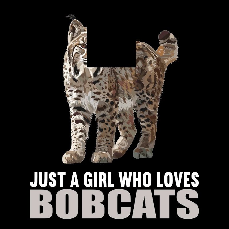 Bobcats Rotluchse Rotluchs Luchs