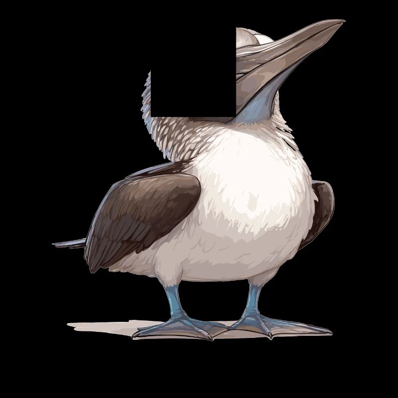 Blue-footed booby