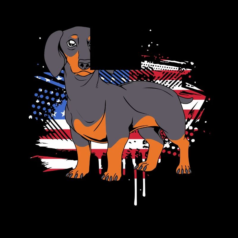 Dachshund