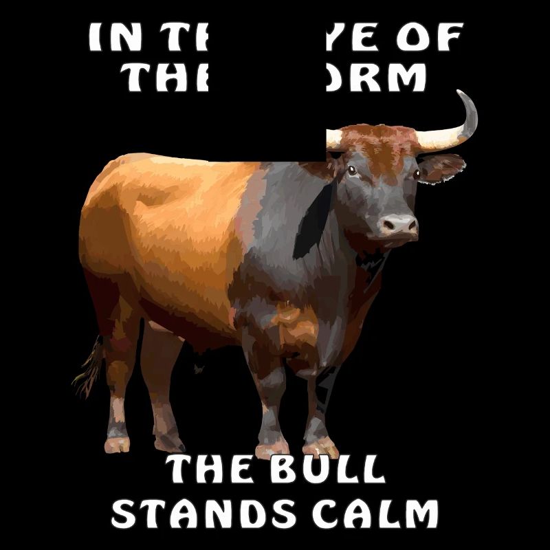 DANS L’ŒIL DU CYCLONE LE TAUREAU