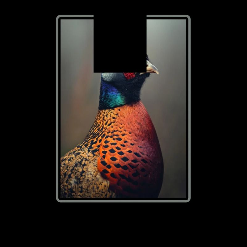 Pheasants Pheasant