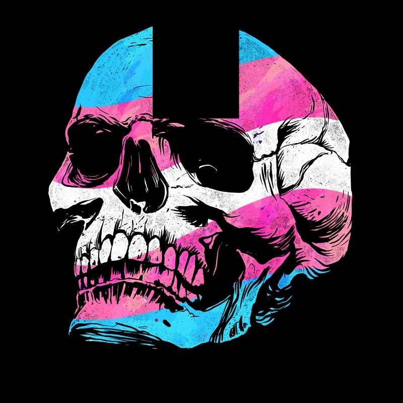 Transgender Trans LGBT Pride