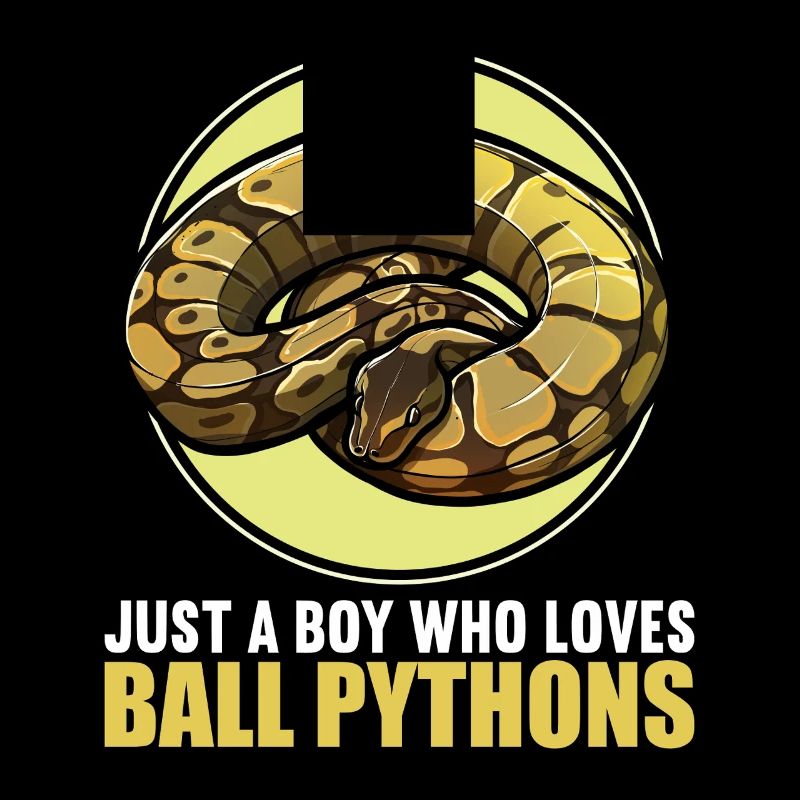 Ball Python Roi Python Roi Python