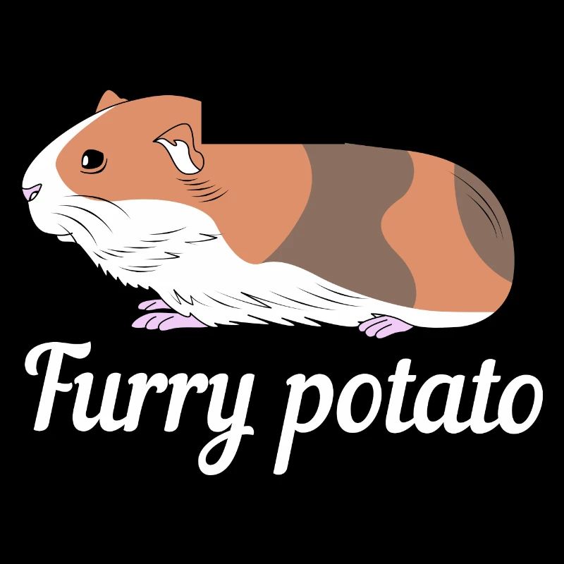 Guinea pig