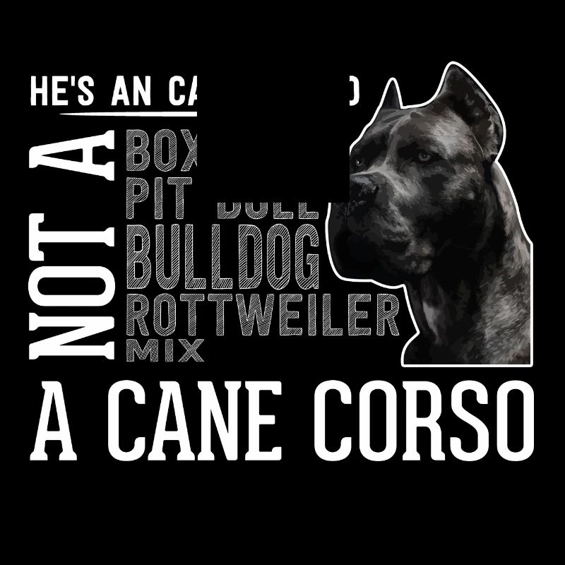 Cane Corso