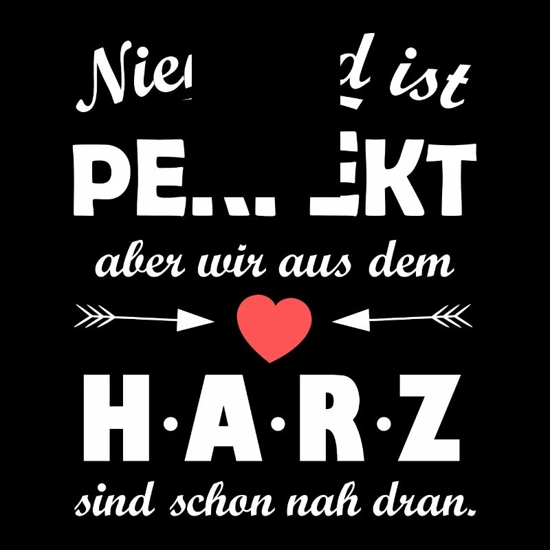 La maison dans les montagnes du Harz