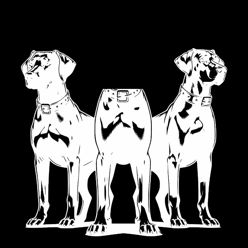 Trois élégants chiens de garde vigilants en poste