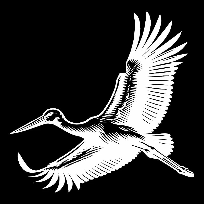 Elegant stork bird in flight
