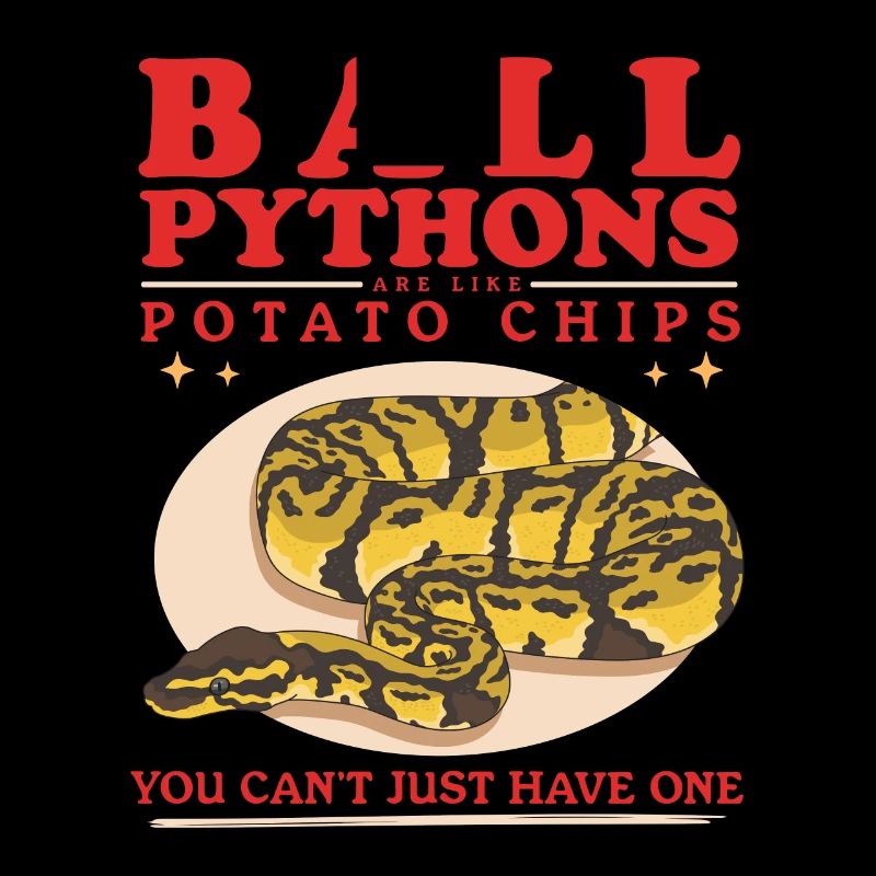 Königspython Python Schlangen Geschenke