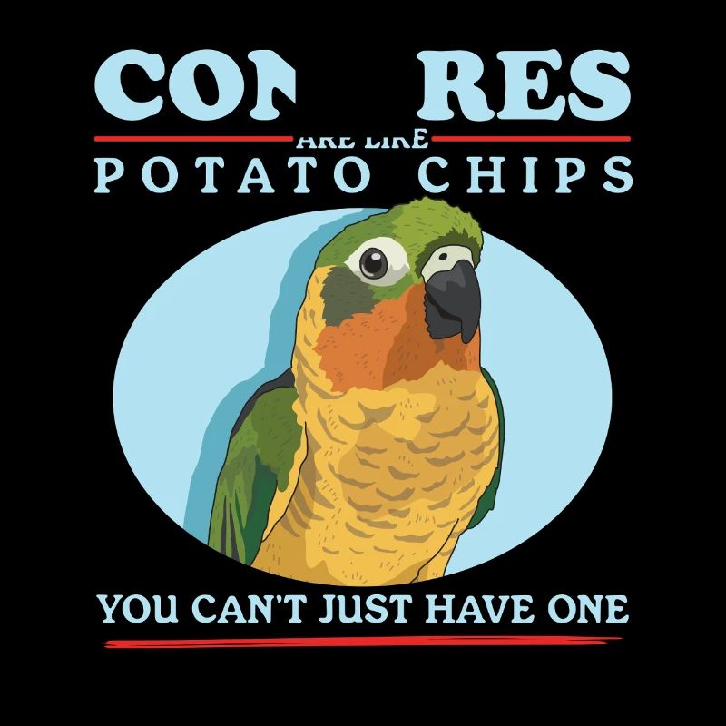 Conures simd comme des perroquets Conure cadeau