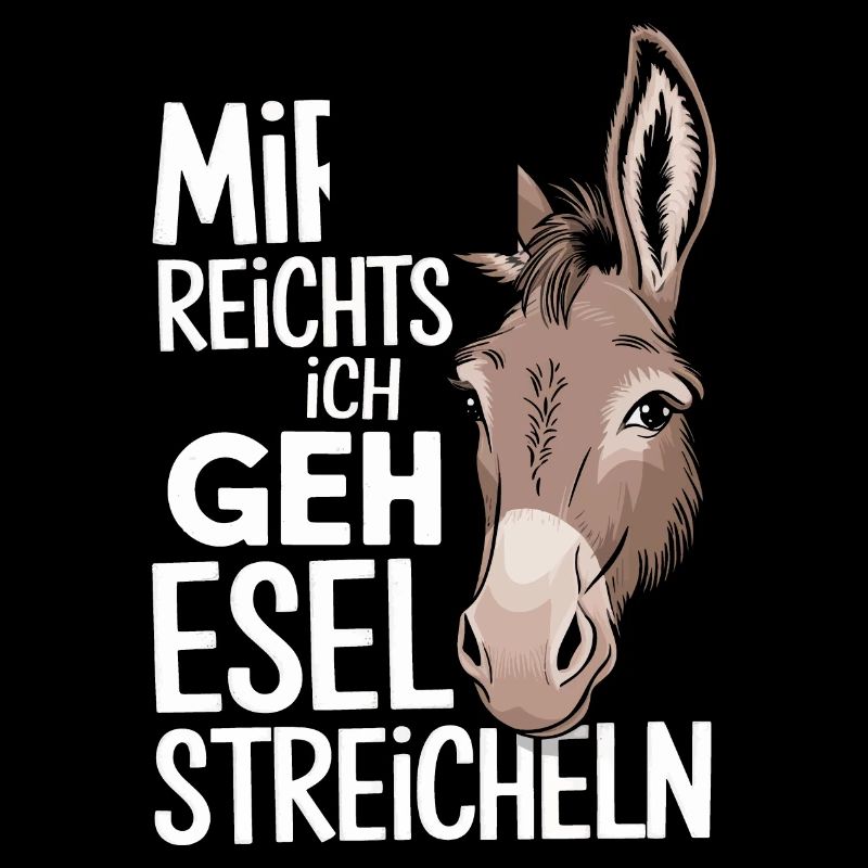 Donkey Donkey Mule Muli
