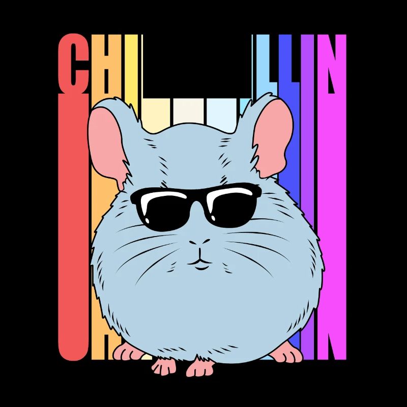 Chinchilla