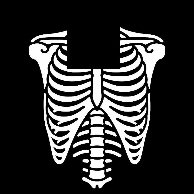 Cage thoracique, squelette, thorax et côtes, os
