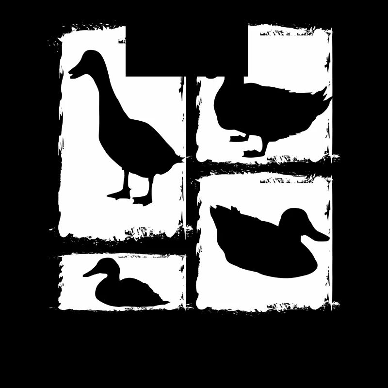 Ducks