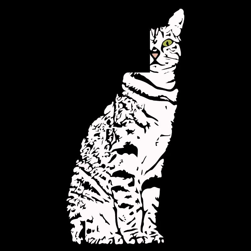 Chat Blanc Blanc Chats Chaton mignon