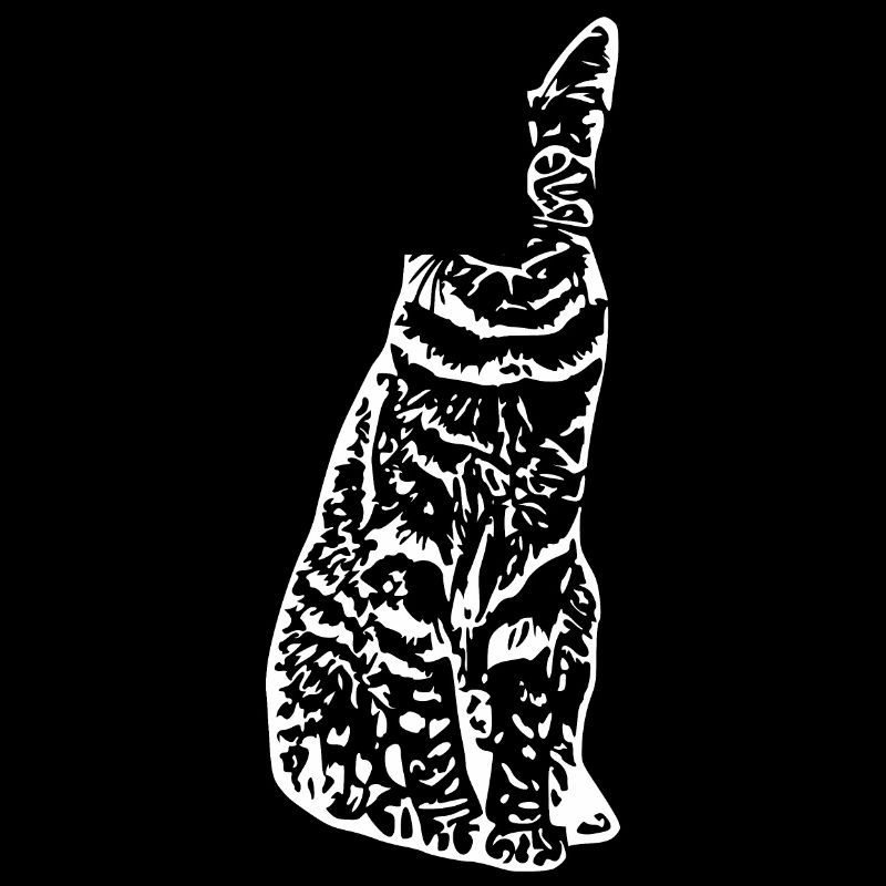 Katze Katze Kätzchen