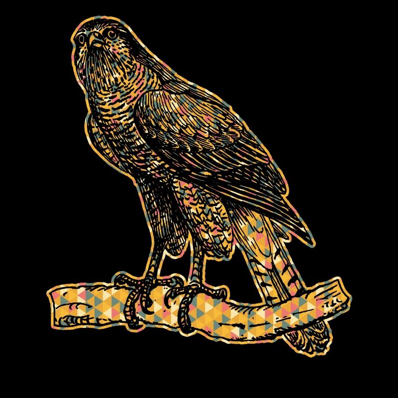 Goshawk Geometric
