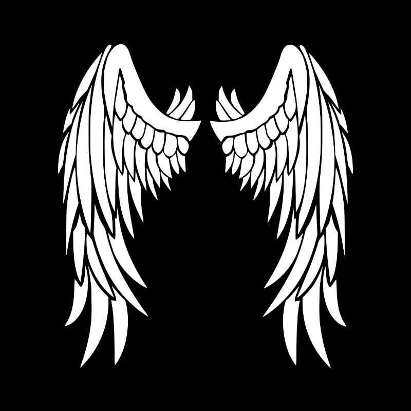 Ailes d’ange blanches sur le dos