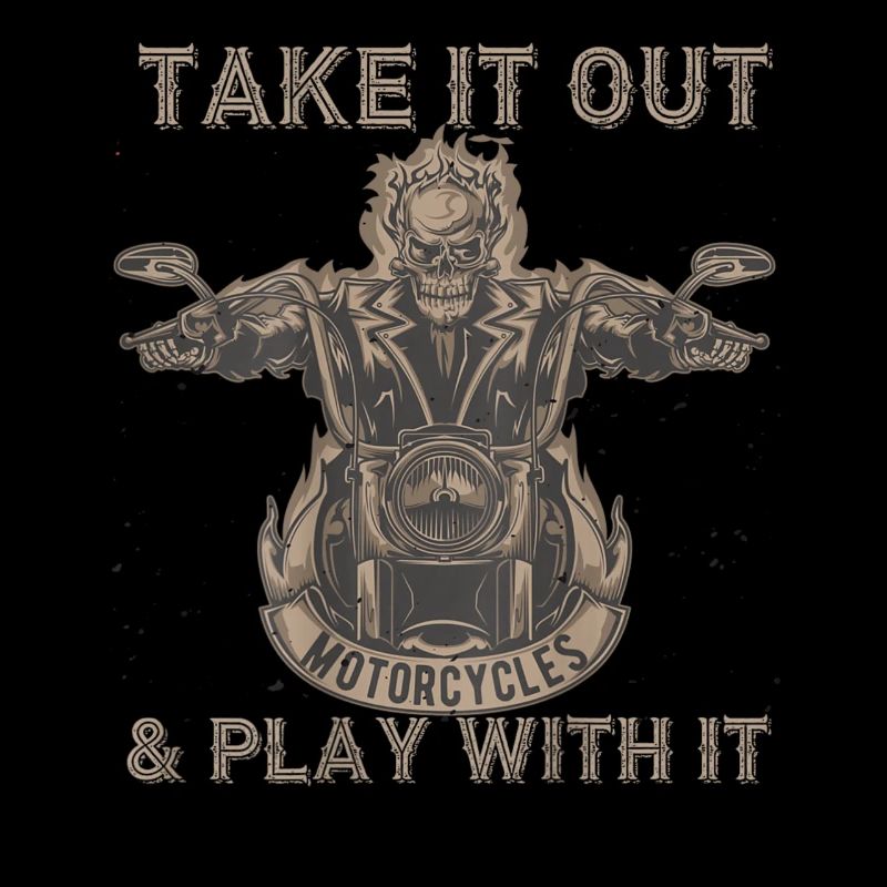 Take It Out Motorcycles Skull