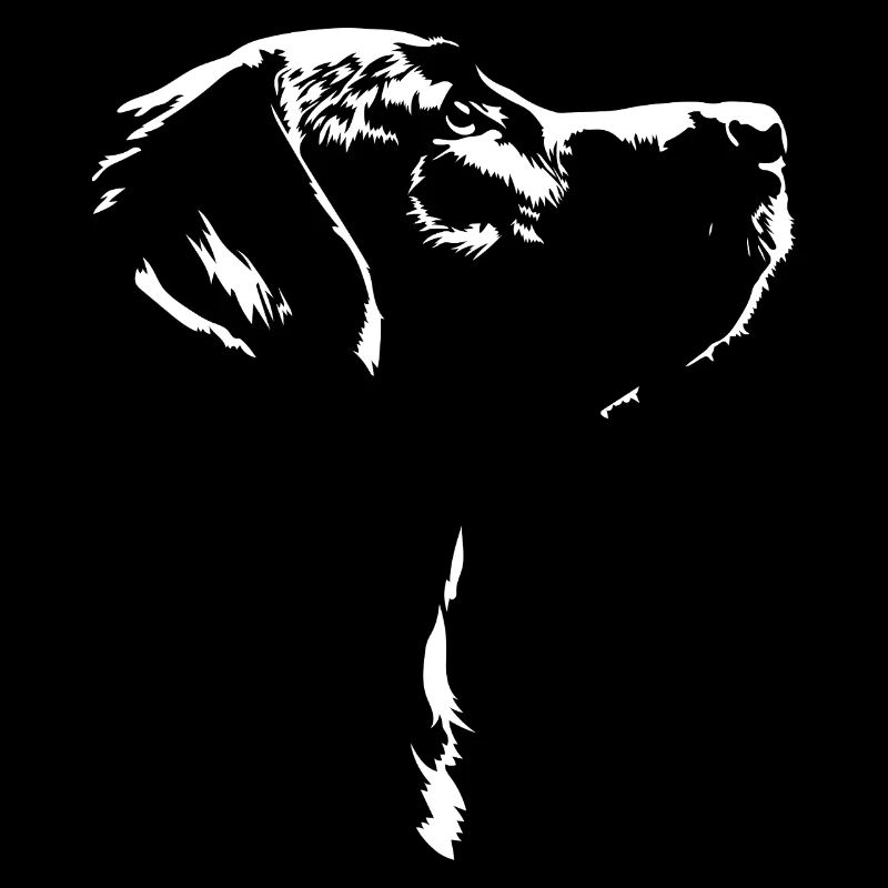 Labrador Retriever Chien Chiens Labbi Wilsigns
