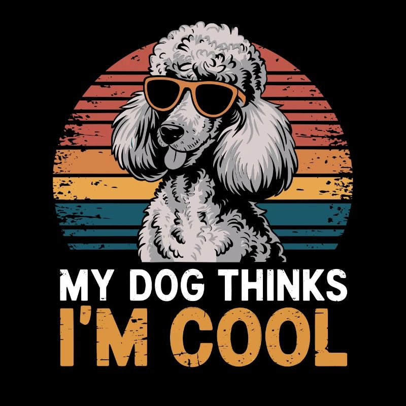 Caniche mon chien pense que je suis cool