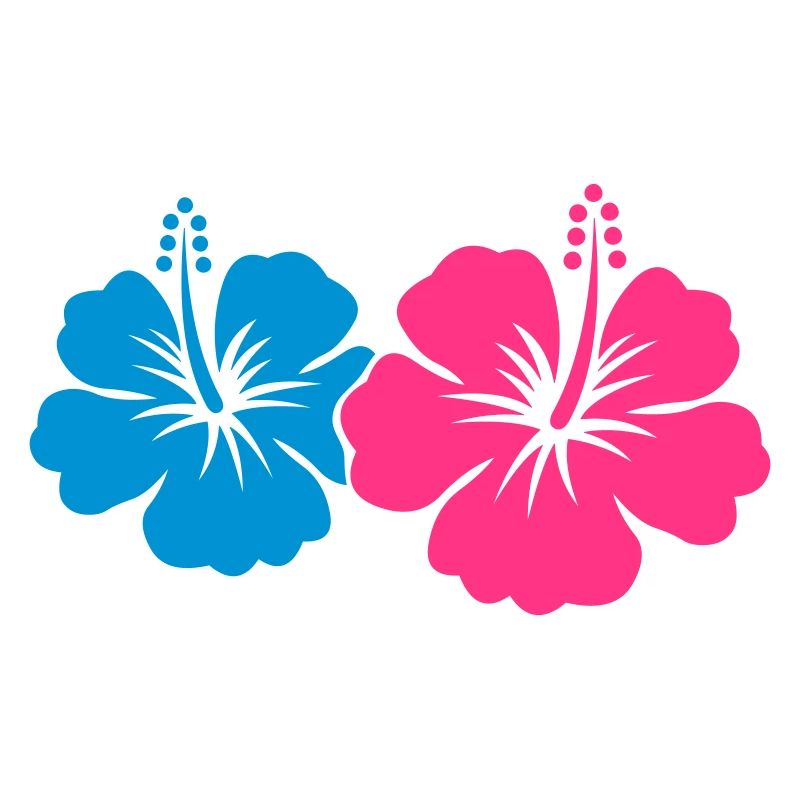 Fleur d’hibiscus