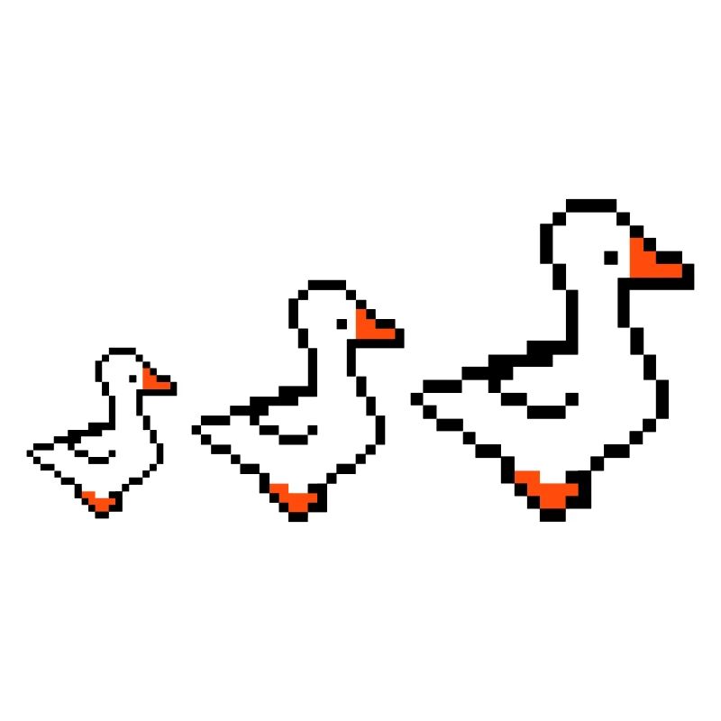 pixel enten