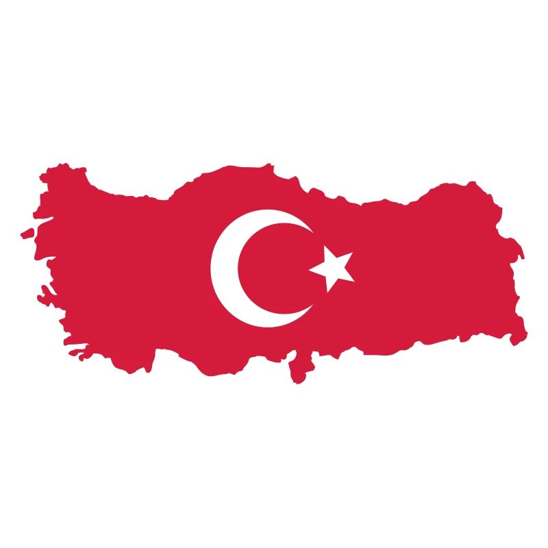 Conception de la dinde 001