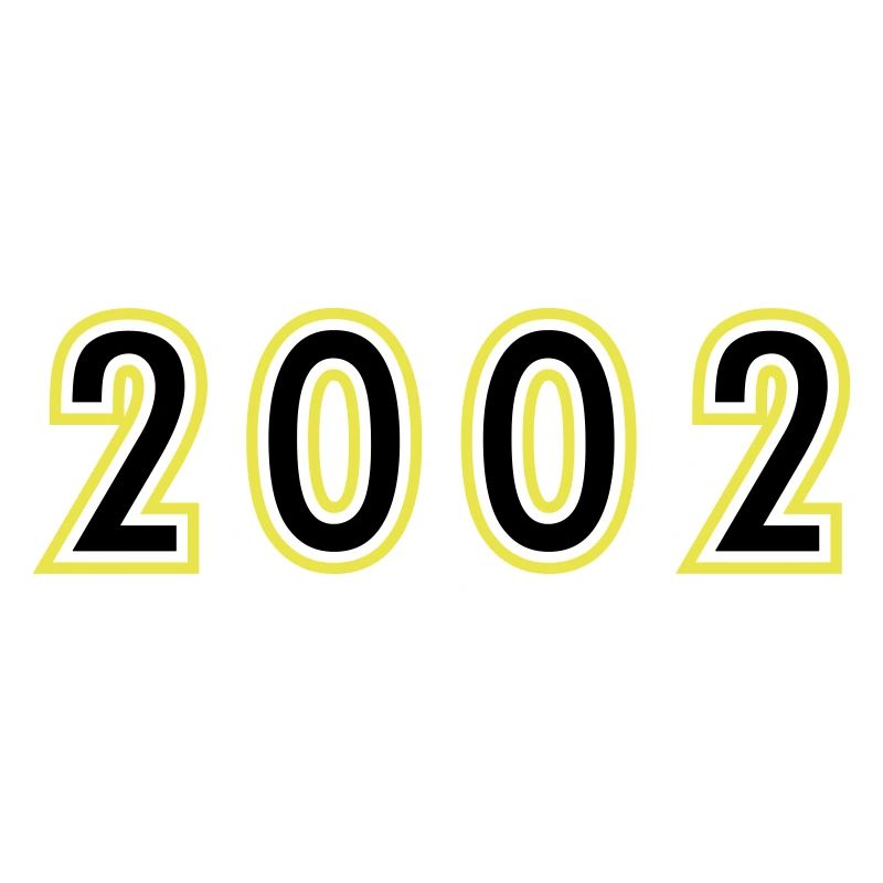 2002 Year Birthday