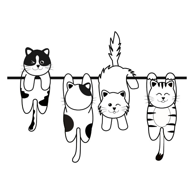 Chat de lessive