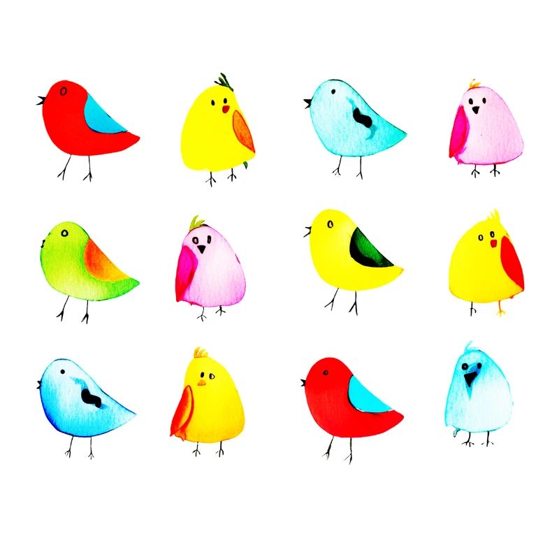 Many colorful birds arranged in rectangular shape