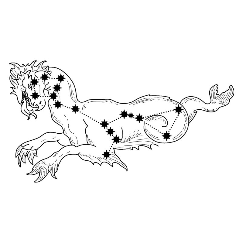 Constellation