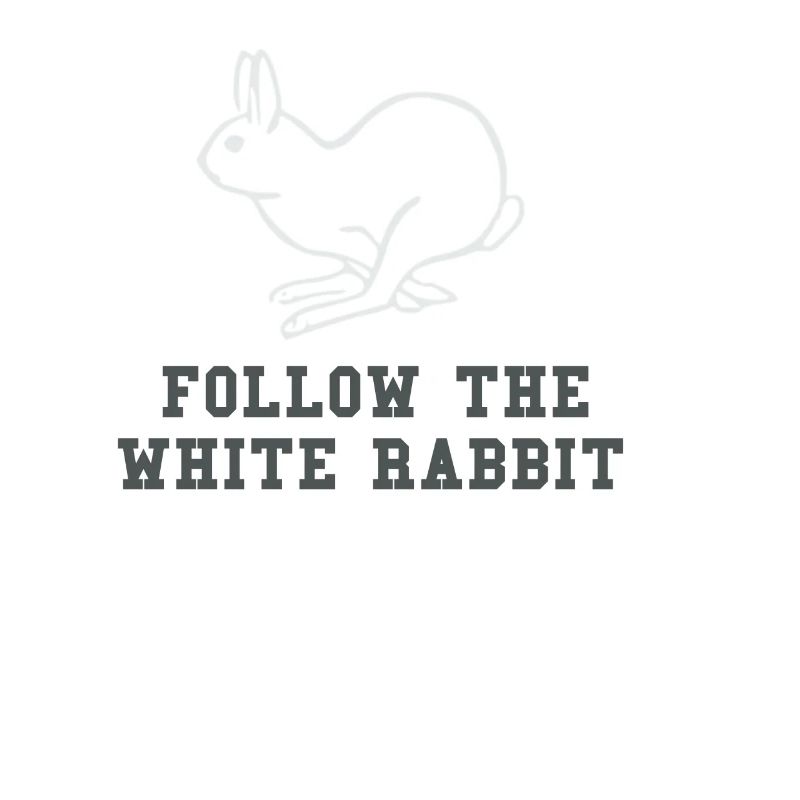 Suis le lapin blanc