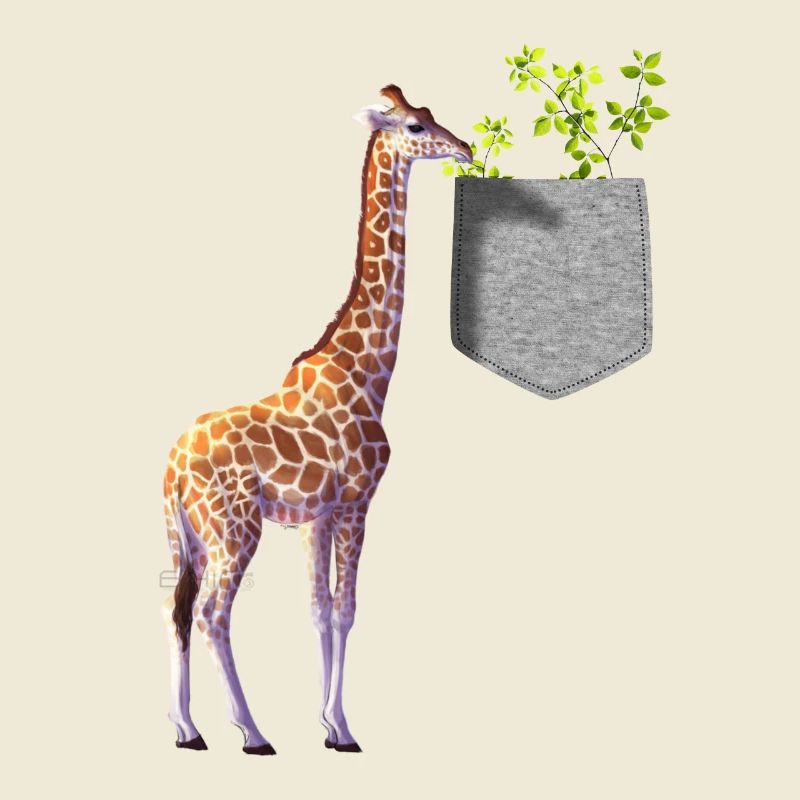Girafe atteignant une branche avec des feuilles dans la poche