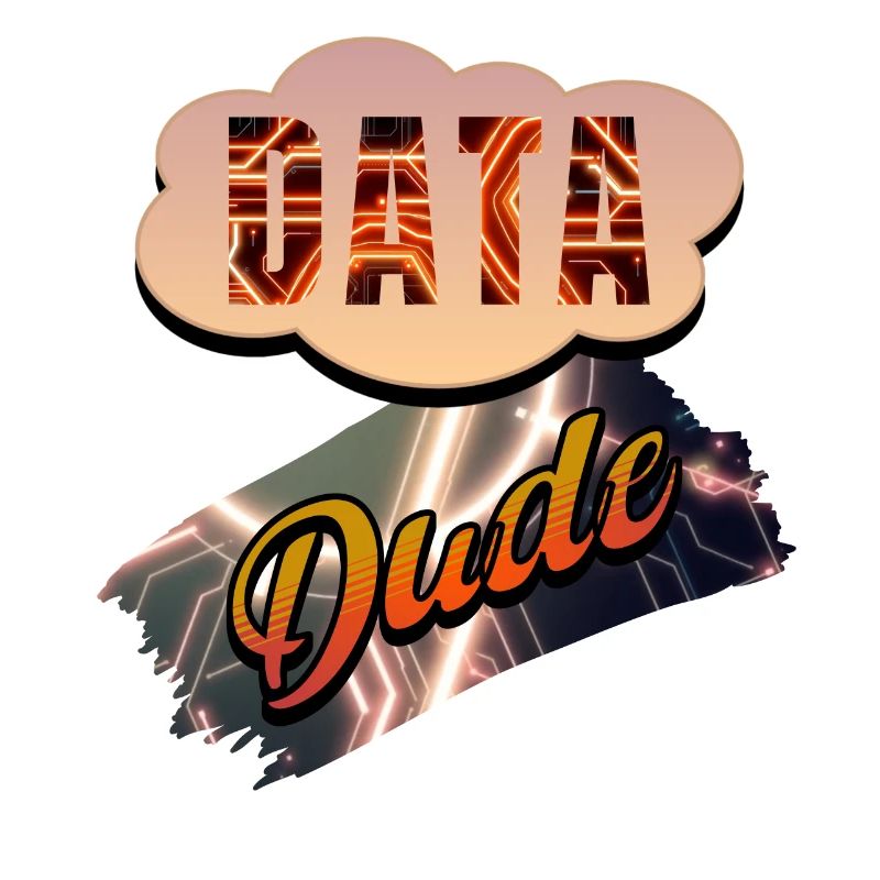 Data Dude