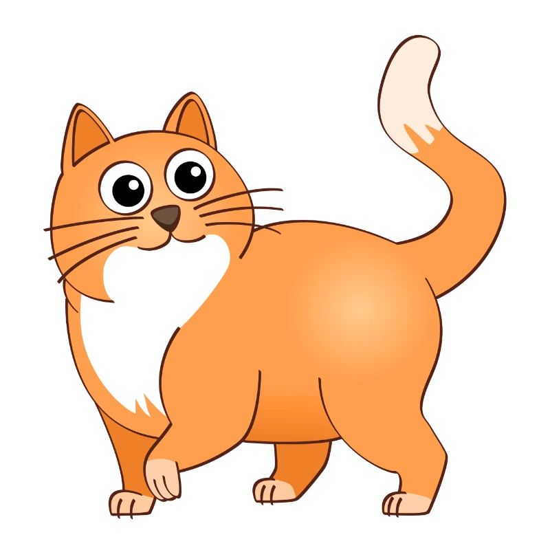 Le chat joyeux