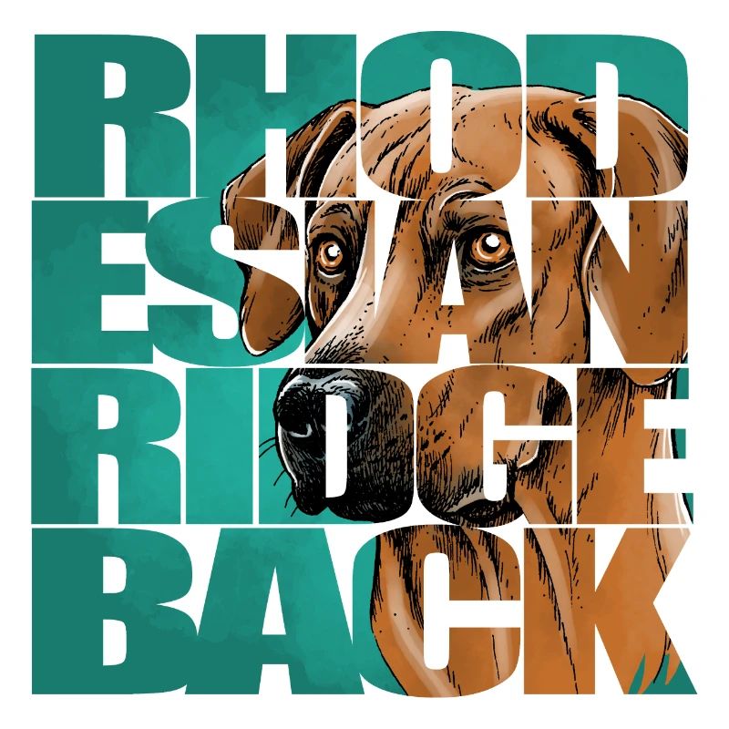 Rhodesian Ridgeback
