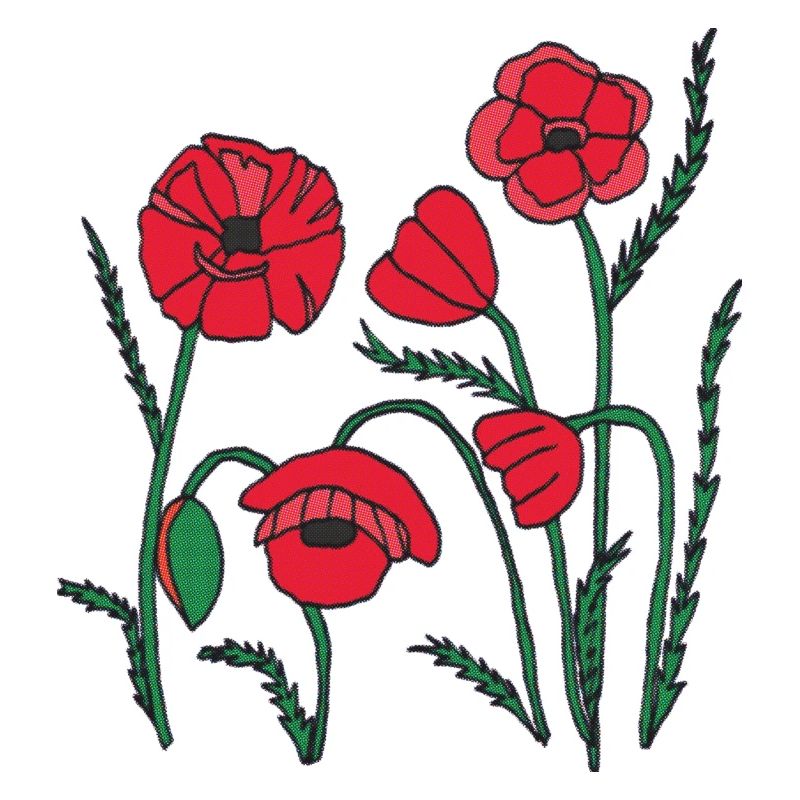 Graines de pavot