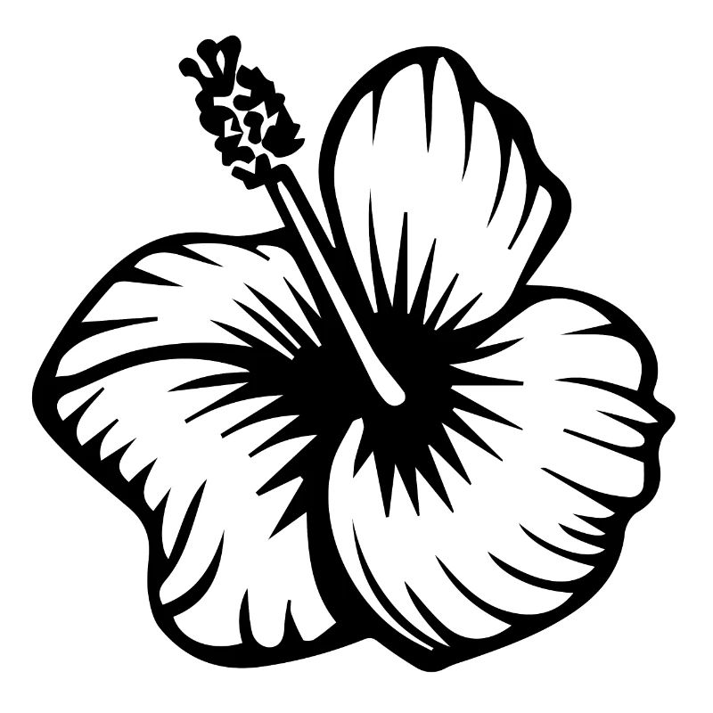 Hibiscus