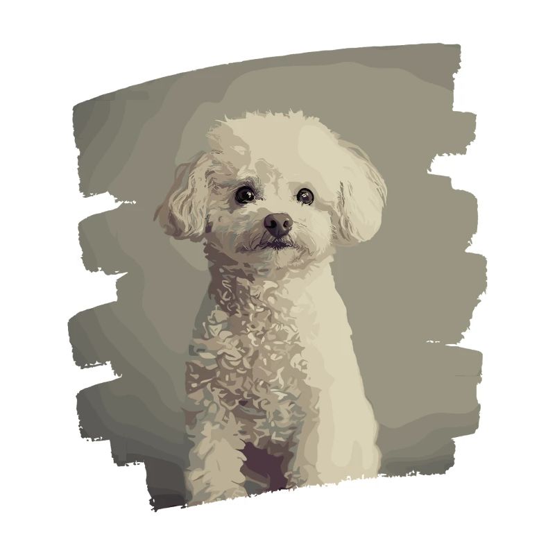 Caniche