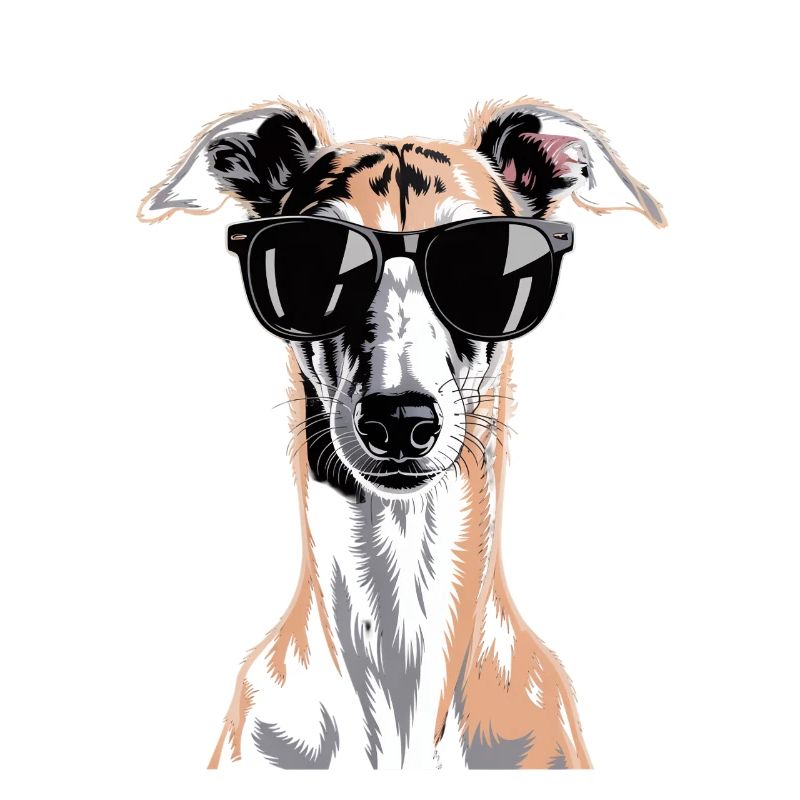 Lévrier Windhund