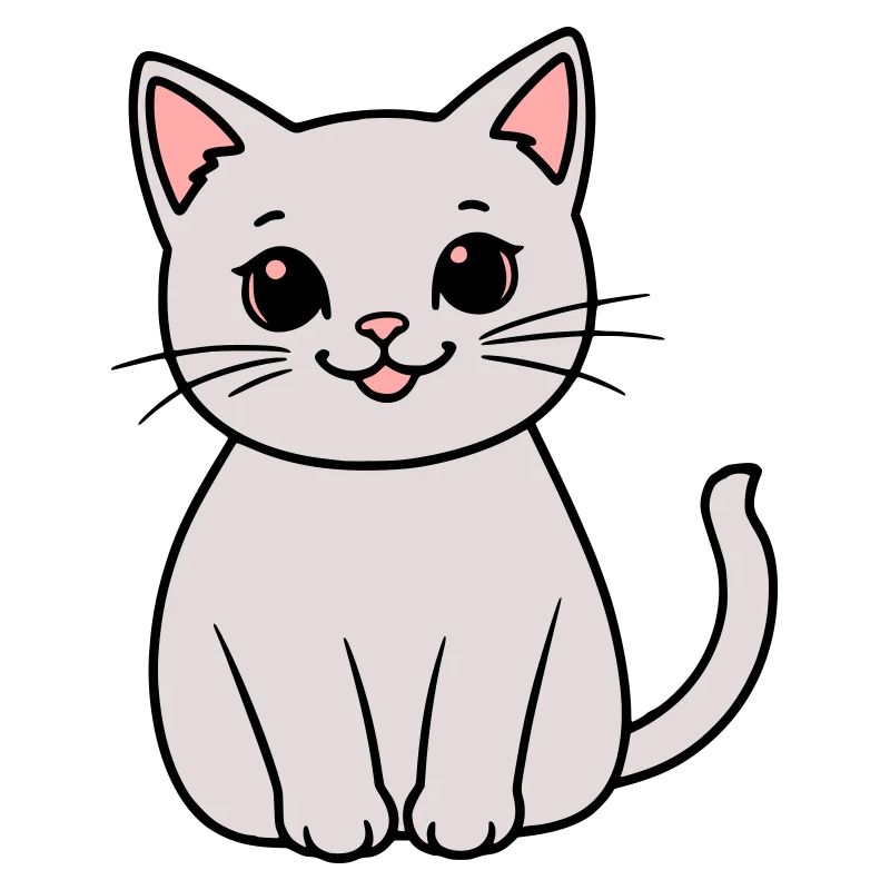 chaton gris
