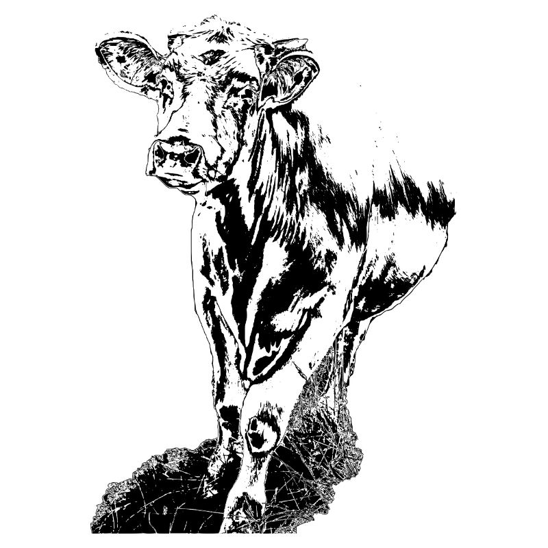 Cow Black White Comic